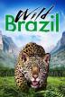 Poster image for WILD BRAZIL