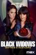 Poster image for Black Widows: Wh*res and Hustlers - Season 1: Episode 6 - The Idiots Club