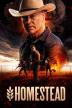 Poster image for Homestead