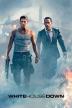 Poster image for WHITE HOUSE DOWN