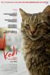 Poster image for KEDI