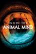 Poster image for INSIDE THE ANIMAL MIND