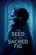 Poster image for The Seed of the Sacred Fig
