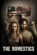 Poster image for THE DOMESTICS