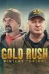 Poster image for Gold Rush: Winter's Fortune - Season 1