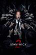 Poster image for JOHN WICK CHAPTER 2