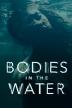 Poster image for Bodies in the Water - Season 1 Ep1 'The Blue Room'