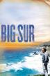 Poster image for BIG SUR