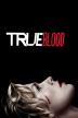 Poster image for TRUE BLOOD SEASON 7
