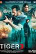 Poster image for Tiger 3 - Director's Cut