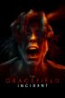 Poster image for THE GRACEFIELD INCIDENT
