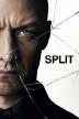 Poster image for SPLIT