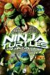Poster image for NINJA TURTLES: THE NEXT MUTATION VOLUME 2