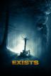 Poster image for EXISTS