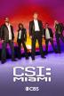 Poster image for CSI MIAMI SEASON 10