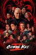 Poster image for Cobra Kai: Season 5