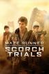 Poster image for THE SCORCH TRIALS - BLURAY
