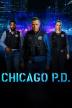 Poster image for Chicago PD: Season 11