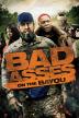 Poster image for BAD ASSES ON THE BAYOU