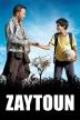 Poster image for ZAYTOUN