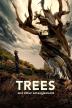 Poster image for Trees, and Other Entanglements