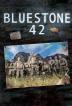 Poster image for BLUESTONE 42