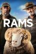 Poster image for RAMS