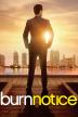 Poster image for BURN NOTICE - SEASON 6