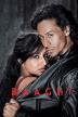Poster image for BAAGHI