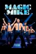 Poster image for MAGIC MIKE