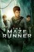 Poster image for THE MAZE RUNNER