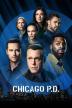 Poster image for CHICAGO P.D. - SEASON 2