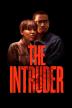 Poster image for THE INTRUDER