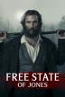 Poster image for FREE STATE OF JONES