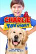 Poster image for CHARLIE A TOY STORY