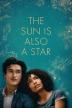 Poster image for THE SUN IS ALSO A STAR