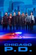 Poster image for CHICAGO PD: SEASON 7