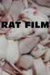 Poster image for RAT FILM