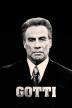 Poster image for GOTTI
