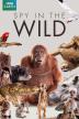 Poster image for SPY IN THE WILD