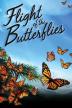 Poster image for FLIGHT OF THE BUTTERFLIES