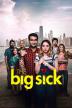 Poster image for THE BIG SICK