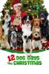 Poster image for 12 DOG DAYS TILL CHRISTMAS