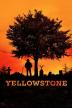 Poster image for Yellowstone Season 5 Part 2 (Bonus Disc)