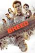 Poster image for BHEED