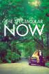 Poster image for THE SPECTACULAR NOW