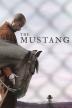 Poster image for THE MUSTANG