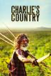 Poster image for CHARLIE'S COUNTRY
