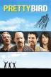 Poster image for PRETTY BIRD