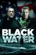 Poster image for BLACK WATER